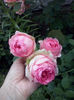 CAM01914