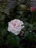 CAM01917