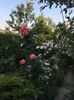 DAB2697A-CBB1-4B05-B79E-7EED263CCDB7