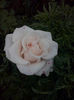 CAM01927