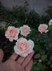 CAM01930