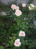 CAM01931
