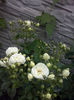 CAM01943