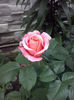 CAM01948