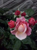 CAM01952