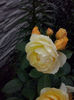 CAM01953