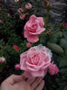 CAM01955