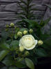 CAM01956