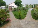 Vine ploaia