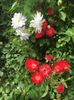 FF57953E-7EA4-4CC6-B17B-F8FE22180051