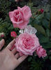 CAM01988