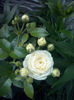 CAM01989