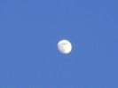 Luna in crestere in Scorpion