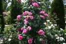 Gertrude Jekyll