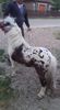 received_356052014902102