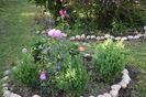 Minerva, Blue for you si Gartenspass