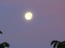 Luna plina in Sagetator
