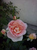 Abraham Darby