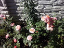 CAM02187