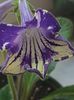 thumbnail (59)