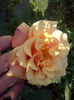 CAM02198