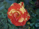 CAM02201