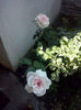 CAM02202