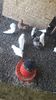 IMG-20180530-WA0035