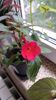 IMG-20180605-WA0012