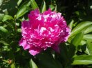 24 mai (38)