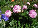 24 mai (40)
