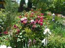 24 mai (56)