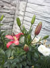 CAM02391