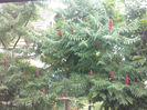 CAM02392