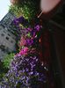 Photo8216