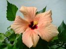 IMG00881