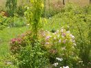 Pink Ghislaine de Feligonde