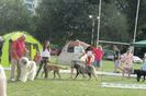 EXPO BUCURESTI 2018