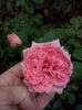 CAM02468