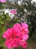 E9E356B5-0036-42B4-B2EB-99355E22ABB6