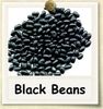 nonhybrid-blackbeans