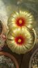 IMG-20180610-WA0010