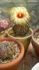 IMG-20180610-WA0008