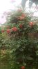 IMG-20180609-WA0002