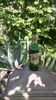 IMG-20180518-WA0011