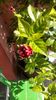 IMG-20171014-WA0005