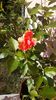 IMG-20171014-WA0004