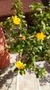 IMG-20171014-WA0003
