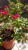 IMG-20171014-WA0002