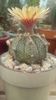 IMG-20170514-WA0014